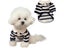 Comfortable Polo Shirt Striped Dog T-shirt Schnauzer Maltese Teddy Yorkshire Carousel 3