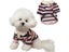 Comfortable Polo Shirt Striped Dog T-shirt Schnauzer Maltese Teddy Yorkshire Carousel 6