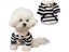 Comfortable Polo Shirt Striped Dog T-shirt Schnauzer Maltese Teddy Yorkshire Carousel 1