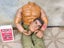 Vintage Action Man A/F $1 RESERVE WEEK! Carousel 3