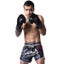 8 Weapons Muay Thai Shorts Samurai 2.0 Cyber Carousel 3