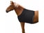 Horse Shoulder Guard Protection Anti Rub Bib Lightweight Horse Chest Saver Carousel 4