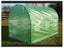 Evergreen Tunnel House Greenhouse 2m x 3m Carousel 2