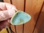 Greenstone / Pounamu Pipi Shell Pendant Carousel 2