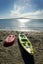 gallery view thumbnail
