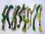 10 x GREEN Shades Cottons (embroidery floss) $1 Auction For all Cottons Carousel 1