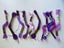 10 x PURPLE Shades Cottons (embroidery floss) $1 Auction For all Cottons Carousel 1