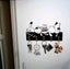 THE CATTAGE - Charming Cat Wooden Wall Hook Add Humour To Your Keys/Tea Towels Carousel 1