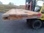 ROSEWOOD BLANKS - 147 x 24mm - SECONDS - 94m - TS7690 Carousel 2