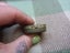 Awesome Old Vintage Gramophone Needles Tin His Masters Voice Extra Loud Needles Carousel 3