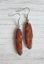 Natural Jasper Stone Earrings (1 pair) - Limited Edition Carousel 1