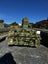 140MM X 45MM H4 MG 5.4-5.9M TIMBER Carousel 1