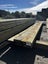 100-200MM X 50MM H4 & H6 RS BROKEN TIMBER Carousel 3