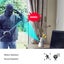360° Indoor Security Camera for Baby/Pet/Nanny 2K Carousel 4
