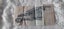 $1 Singapore banknote Carousel 4