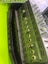 ** BEHRINGER EUROPORT AUDIO GEAR + SPEAKERS + MICROPHONE ** Carousel 2