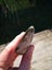 $1 reserve Pounamu quality carving slab MATARIKI MONTH Carousel 5
