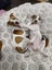 Pearl - PUPPY Pound Hounds Rescue Carousel 12