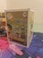 Luffy gear 2 pop Carousel 2