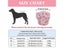 Dog Pants Dog Diaper Carousel 8