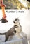 Pure breed Siberian husky puppies Carousel 15