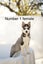 Pure breed Siberian husky puppies Carousel 10