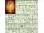 Fern Heads Singles Lamps Stamps For DIY Scrapbooking Photo Album Embossing Carousel 3