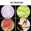 Microscope Carousel 8