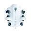 Qysea Fifish - V-EVO Carousel 5