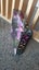 Monster High Draculaura Bite in the Park Boxed Doll Set Carousel 3