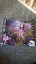 Monster High Draculaura Bite in the Park Boxed Doll Set Carousel 8