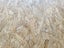OSB T&G FLOORING, PREMIUM, UN-TREATED, 2440 x 1220 x 18mm - 10 SHEETS - TBT0493 Carousel 11
