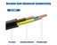 Power Extension Cable - (NZ Clearance) Carousel 4