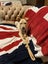 Auckland Puppy Rescue - KELCE Carousel 3