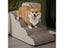 Dog Door Cat Door Carousel 4