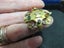 9ct gold rare masonic Order of the Eastern Star brooch... c1900s Edwardian? Carousel 4
