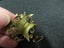 9ct gold rare masonic Order of the Eastern Star brooch... c1900s Edwardian? Carousel 8