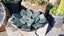 Greenstone slabs Carousel 1
