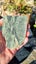 Greenstone slabs Carousel 6