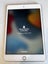 iPad Mini 4 – 128GB – Gold – iCloud Locked – For Parts or Repair #03 Carousel 1