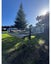 Steel tiny home framing Carousel 4