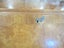 Burr Walnut & Mahogany Dropfront Desk Carousel 6