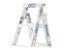 Atom Step Ladder Dual Purpose 6 Step Carousel 8