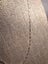 Jewellery Clearance - Eye-catching Silver Twisted Curb Chain - 40cm Carousel 2