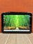 13" Windows 11 Rugged Tablet, WIFI + Cellular - IP65 Carousel 6