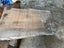Beautiful Rata Timber Slab – Rare NZ Native Hardwood (2.75m) Carousel 5