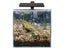 Fish Tank Aquarium Light NZ Clearance Carousel 3