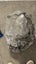 Bugaboo Buffalo Pram Carousel 5