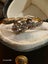 $1 Antique 18ct Gold and Platinum Diamond Ring 1.94gm Carousel 9