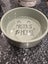 Pet Food Bowl Carousel 1